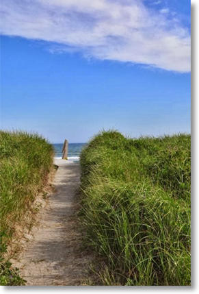 New Pathways Counseling